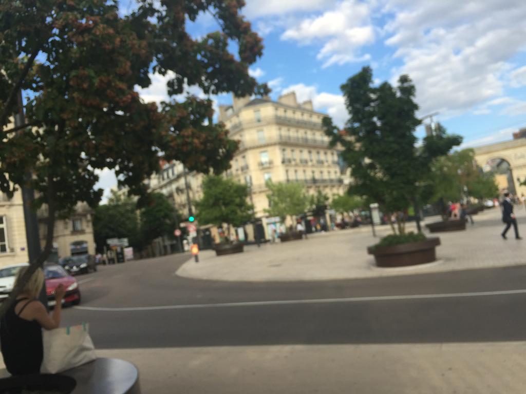 Ideal Art Deco Compris Un Parking Prive Securise Darcy Liberte Centre Gare-Ville Dijon Exterior photo